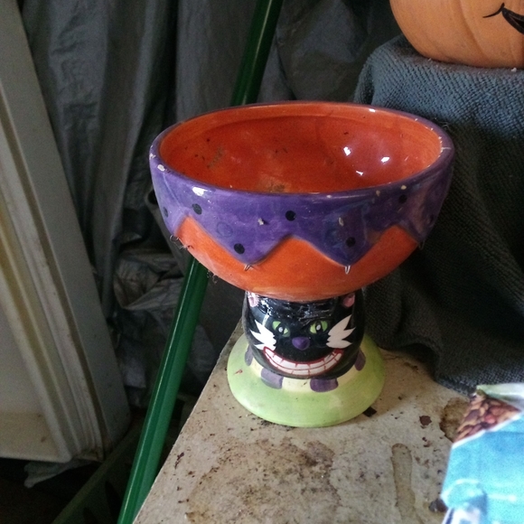 Happy chilcatt - Picture 7 of 7